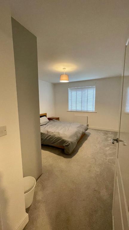 Brand new Modern 2 King Bedroom Flat with Free Parking