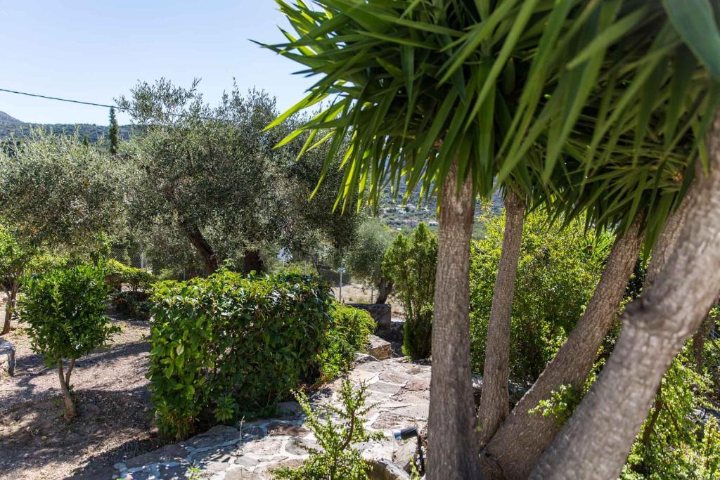 Zahrada ubytování Villa Euphoria Studio in Aegina, A' Marathonas Bay
