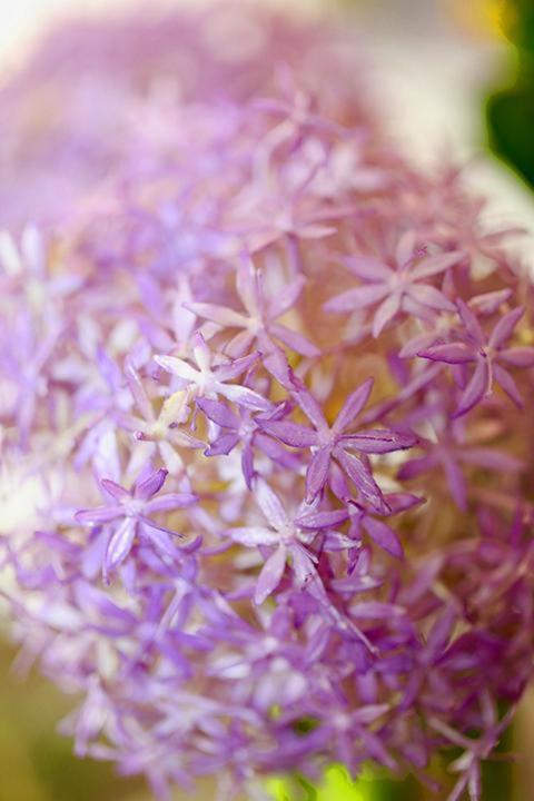 Hotel New Orly - Resim 11