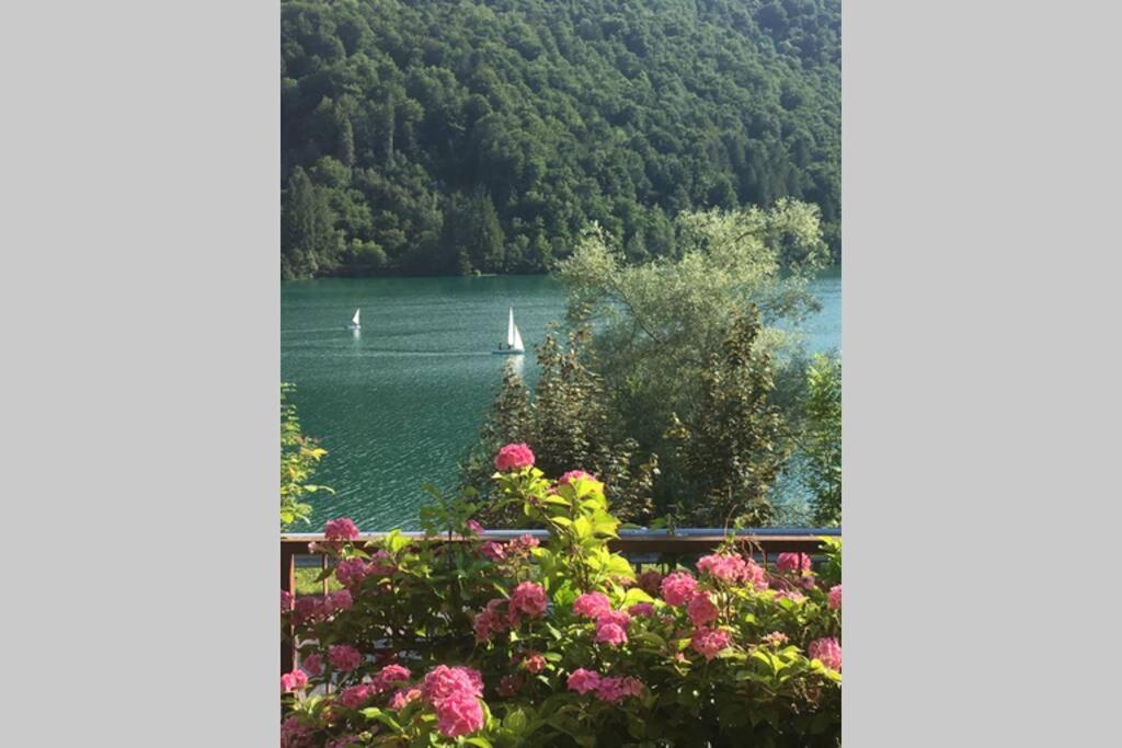 uma vista para um lago com um veleiro na água em Casa a schiera fronte lago con giardino em Barcis