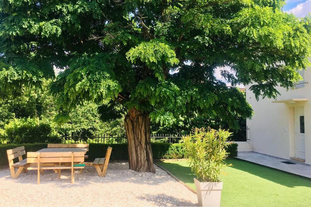 une table et un banc sous un arbre dans une cour dans l'établissement MAGNANERIE LEONY : Maison au calme avec jardin, à Saint-Florent-sur-Auzonnet