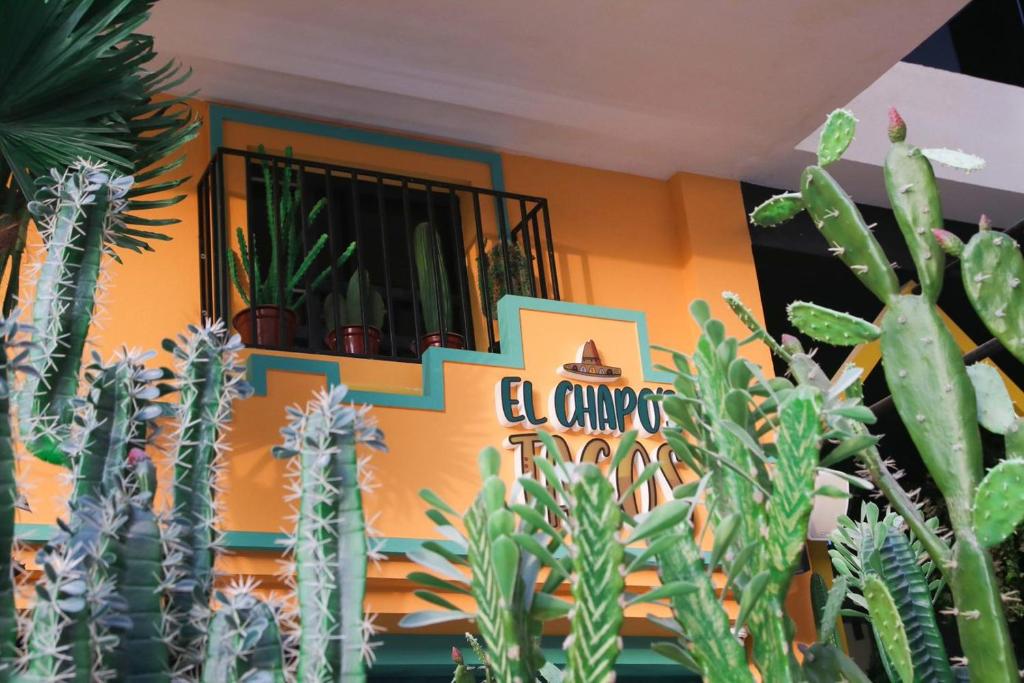 Studio One Hotel - Resim 36