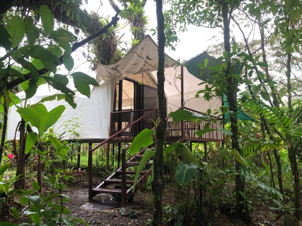 una casa en el bosque con una escalera que conduce a ella en Garza del Sol Glamping Río Celeste Bromelia en San Rafael