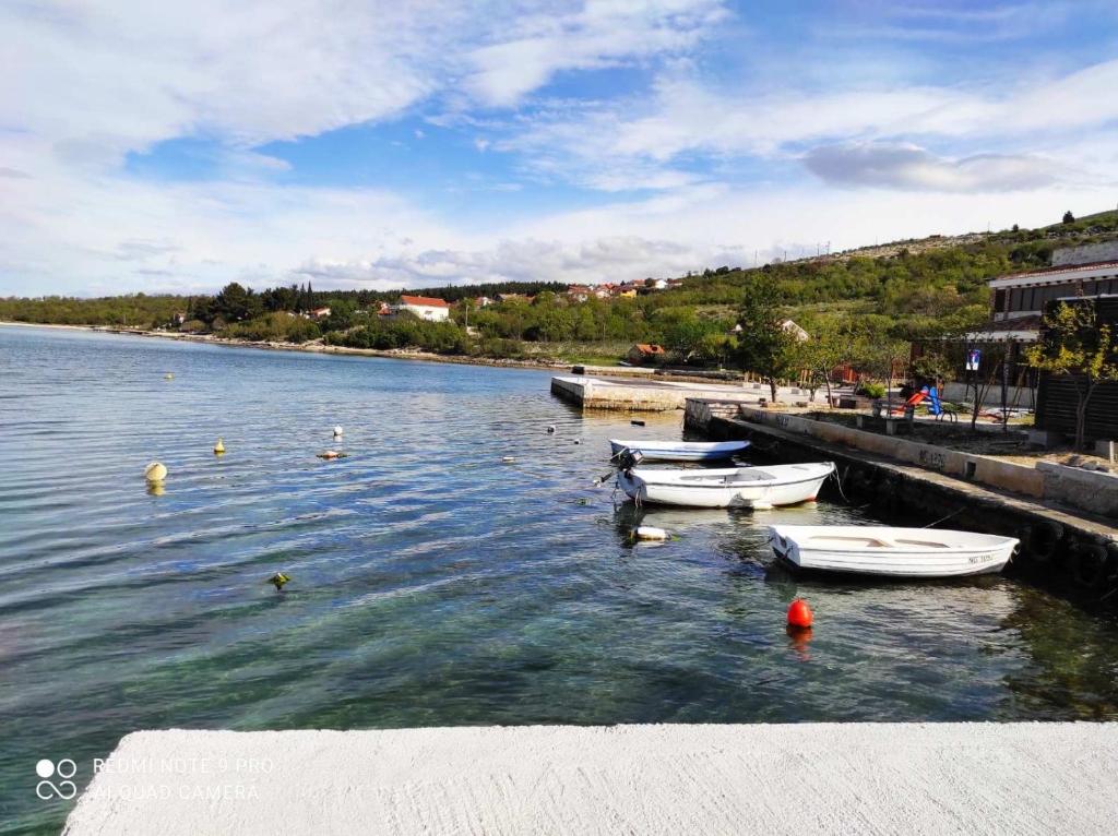 Príroda v okolí apartmánu