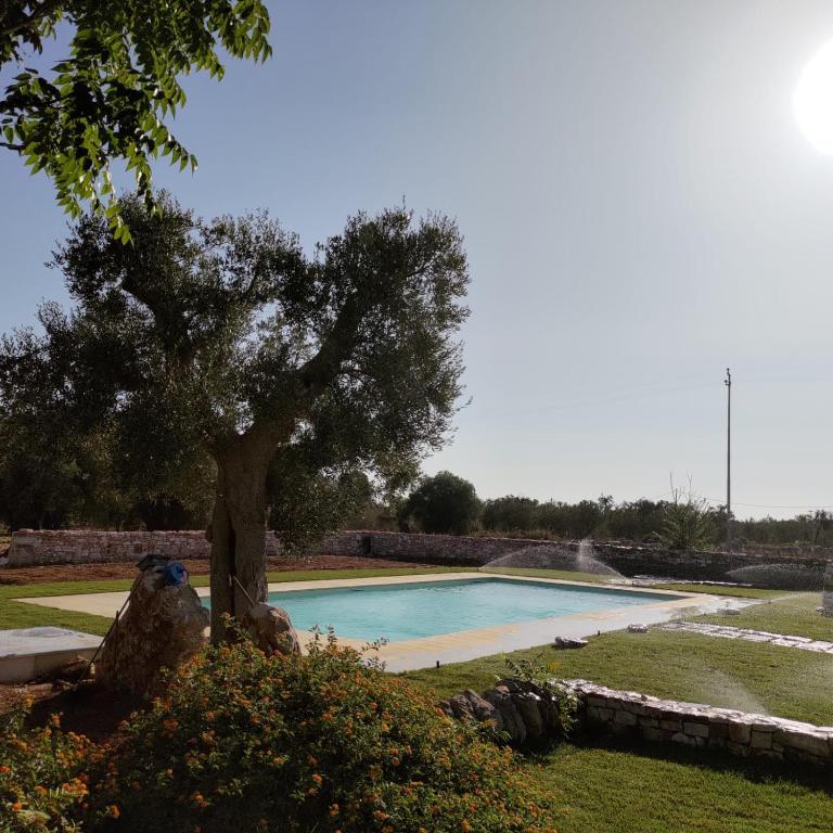 a swimming pool with a tree in a yard at Masseria Borgo Santuri in Ostuni