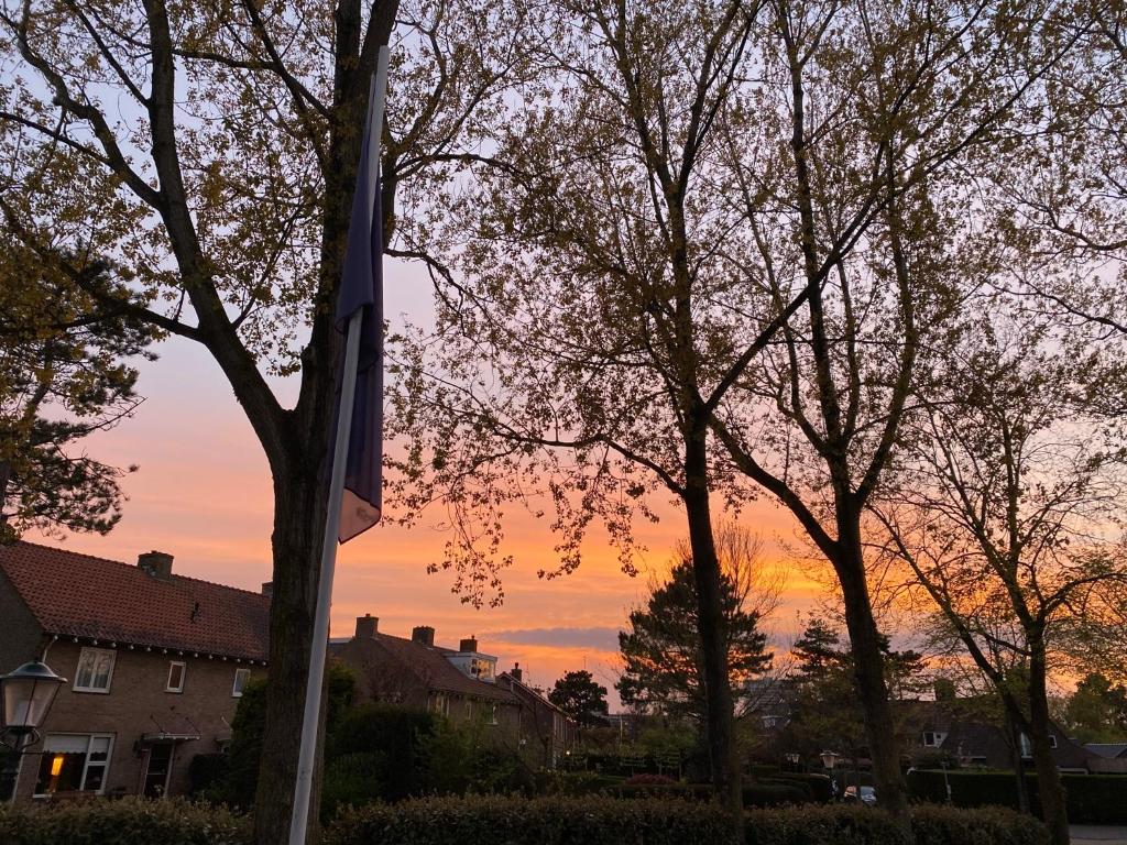 a sunset behind some trees in a residential neighborhood at Het Lichthuis in Zandvoort