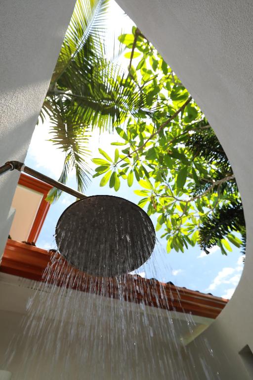 Zahrada ubytování Casa Frangipani