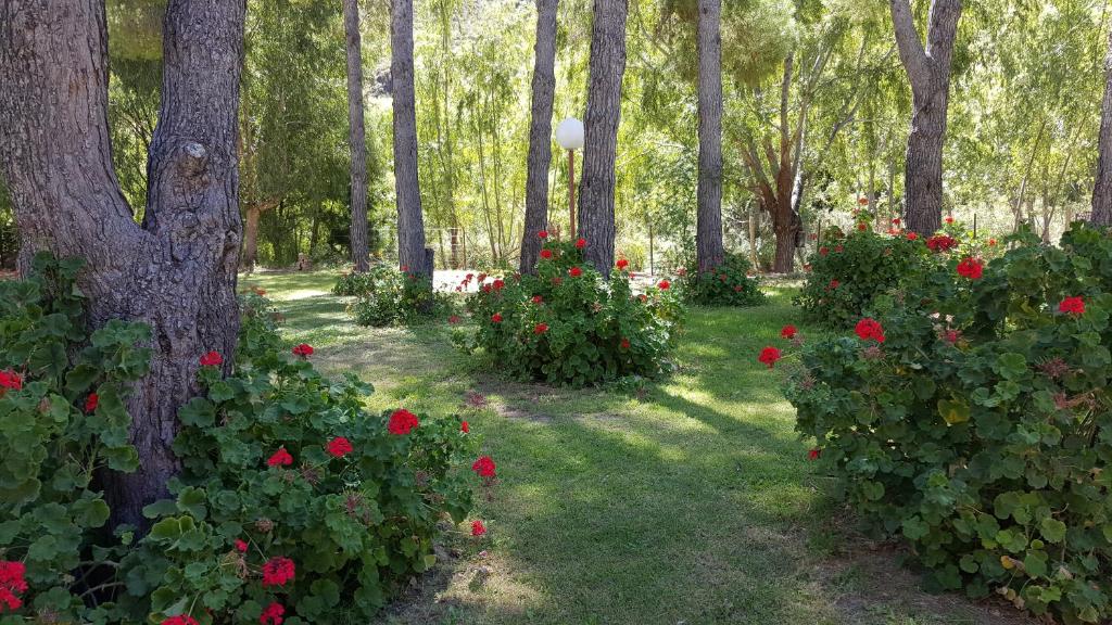 Jardín al aire libre en DORMIS La Faustina