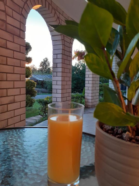 a glass of orange juice sitting on a table next to a plant at Casper B&B in Haapsalu