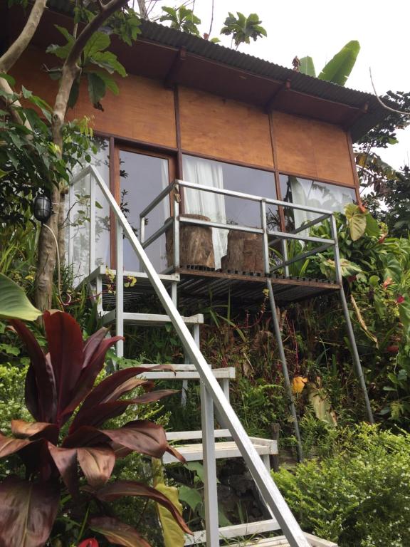 jungleadventure cabin camping في بيدوغول: منزل على شجرة مع درج يؤدي إليها