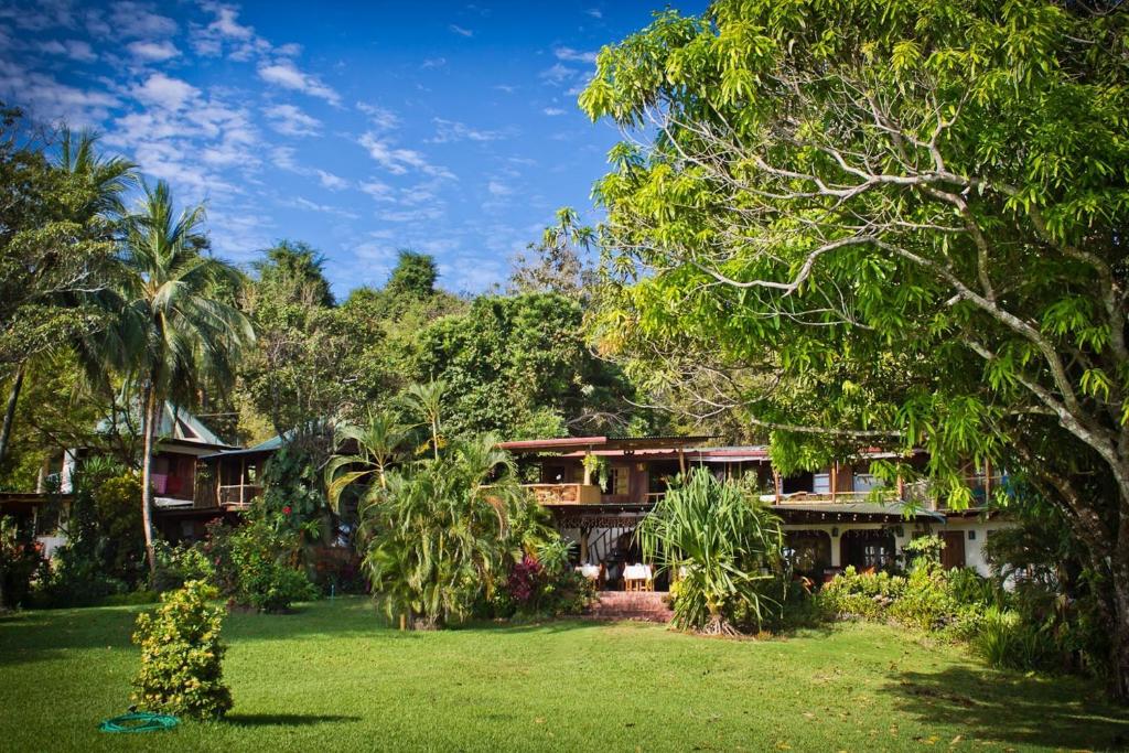 una casa en medio de un patio con árboles en Hotel Amor de Mar, en Montezuma