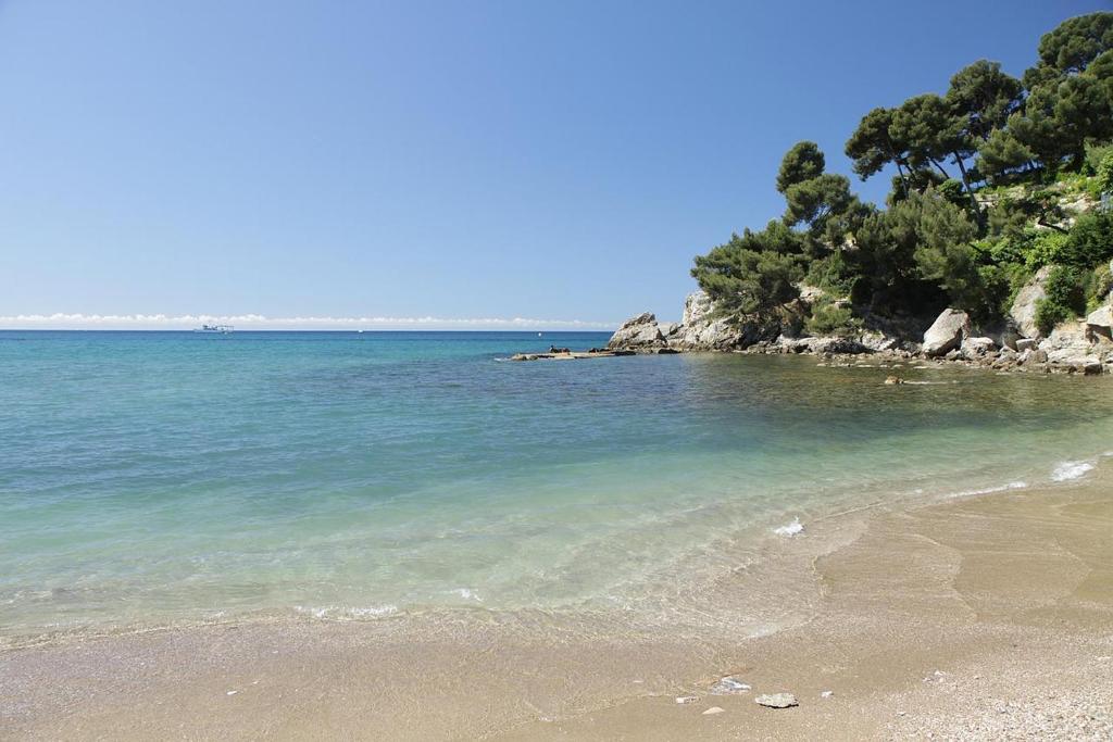 una playa con el océano y árboles en el fondo en Maison de charme à 200 bord de mer, terrasse, jardin- Lesclesdenicole, en Le Pradet