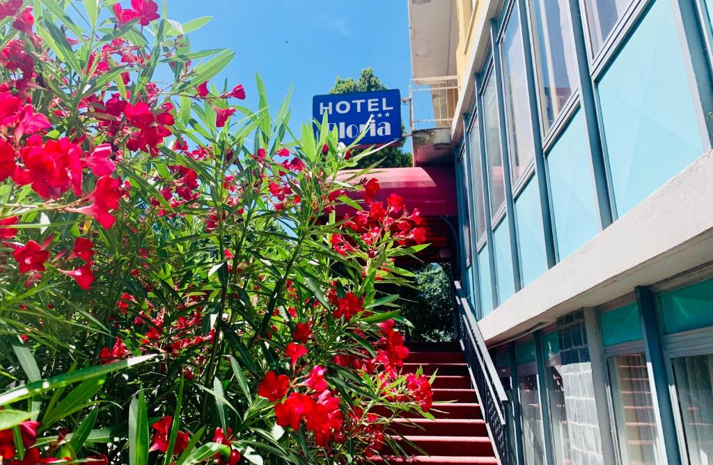 a tree with red flowers in front of a building at Hotel Gloria in Salsomaggiore Terme