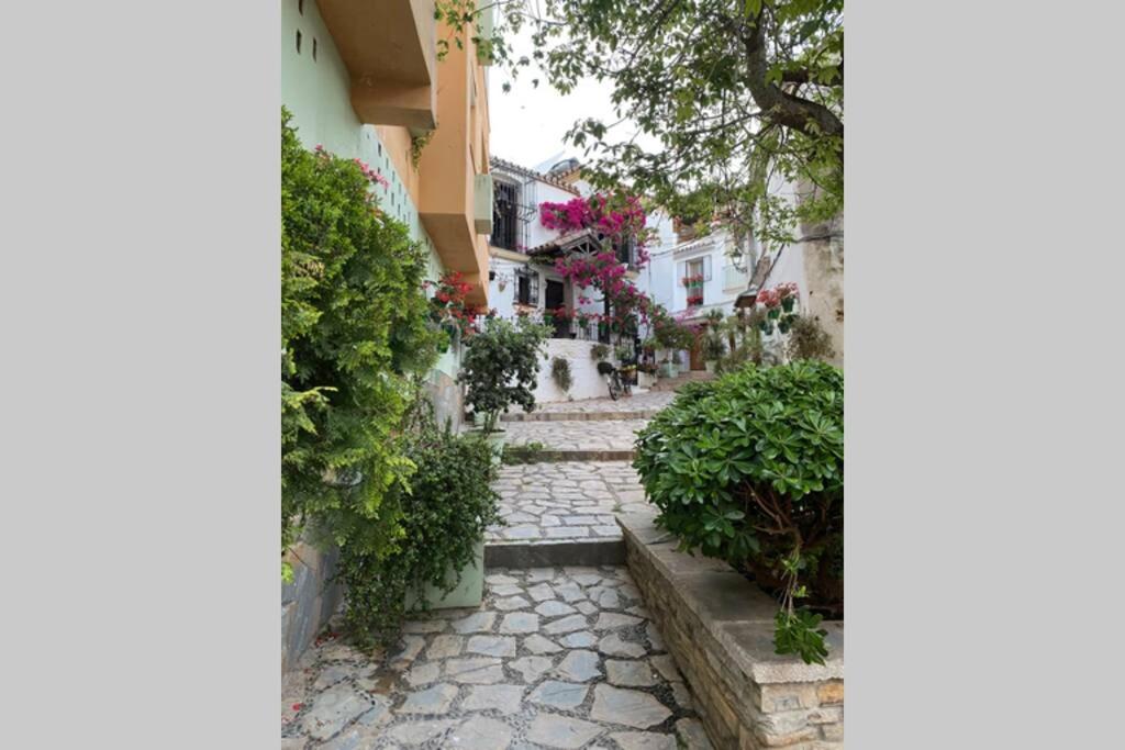 Okolí apartmánu