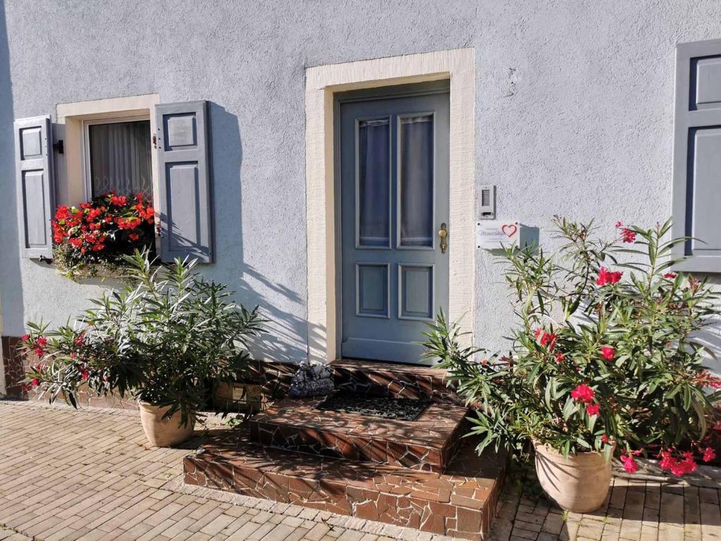 a house with a blue door and potted plants at Mainschleifenherz in Volkach