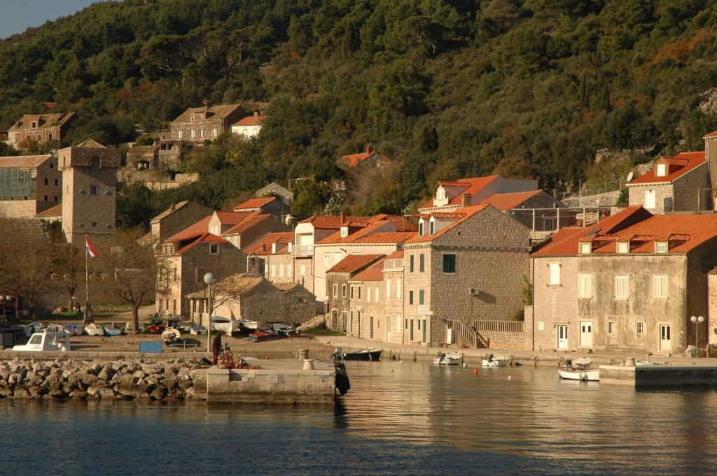 a town on the shore of a body of water at Apartment Vukorep in Suđurađ