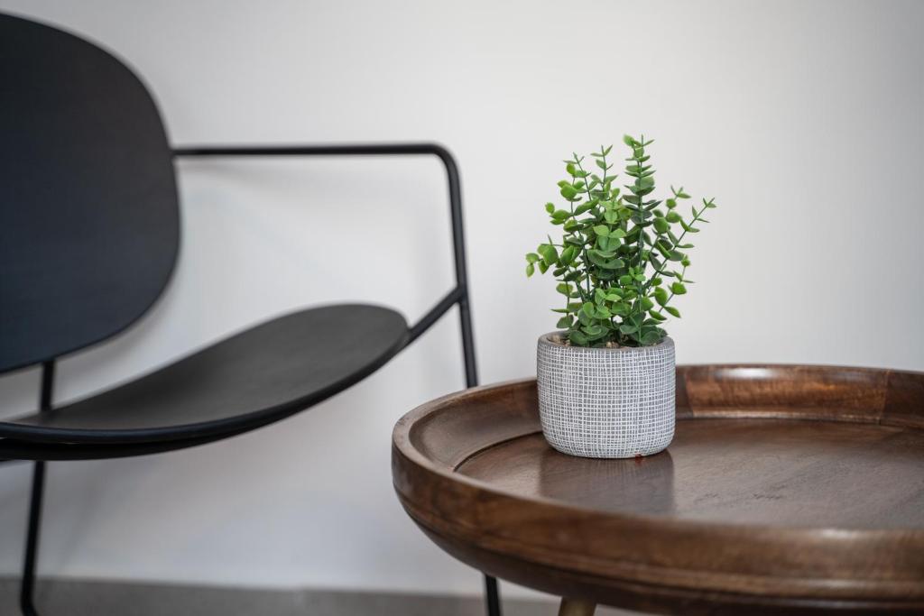Fotografie z fotogalerie ubytování De' Mar Florentine Hotel By Peraia v destinaci Tel Aviv