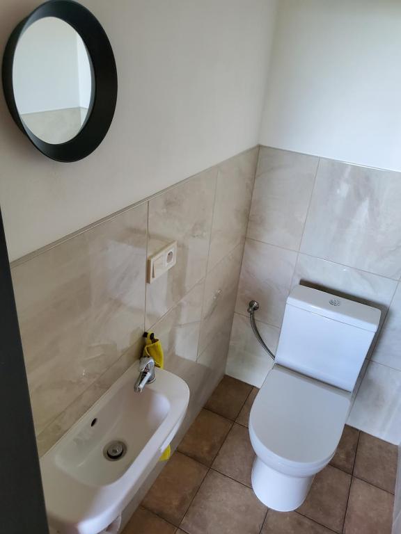 un bagno con un water, un lavandino e uno specchio di RIP by Říp a Krabčice