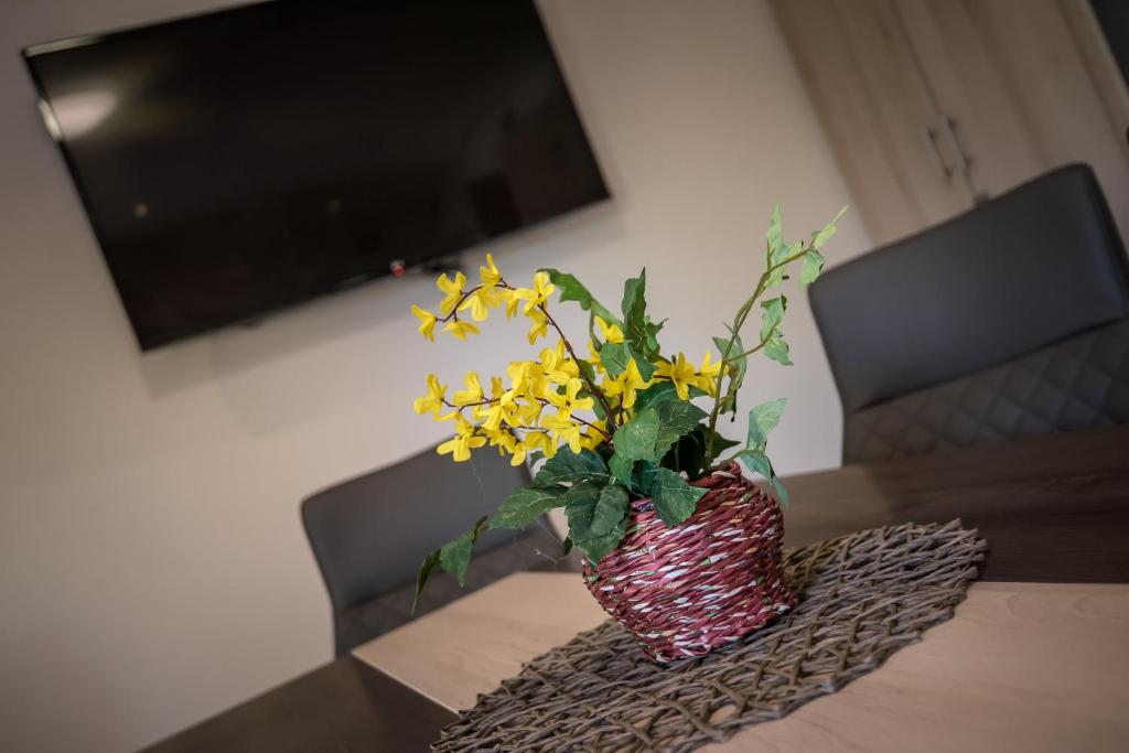 TV a/nebo společenská místnost v ubytování Mokka Apartman Szeged