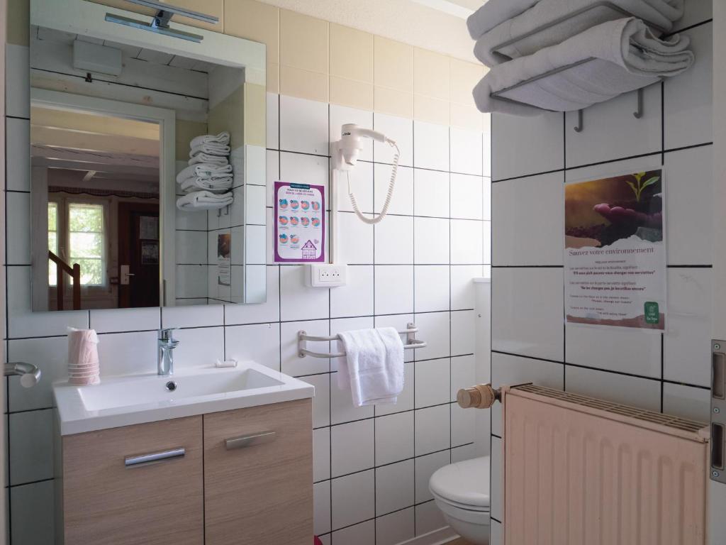 bagno con lavandino, servizi igienici e specchio di Les Loges de l'Ecomusée D'Alsace a Ungersheim