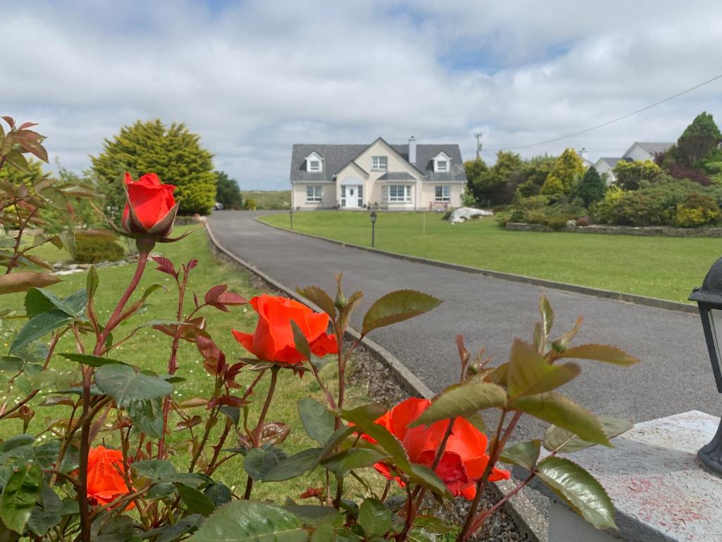 una casa con flores rojas al lado de una carretera en Bayview Country House B&B en Ardara