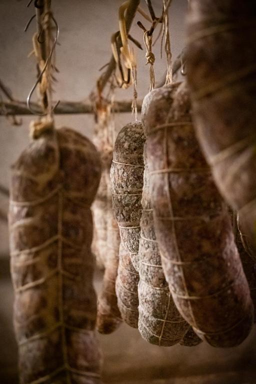Fotografie z fotogalerie ubytování Agricampeggio Le Corniole v destinaci Affi