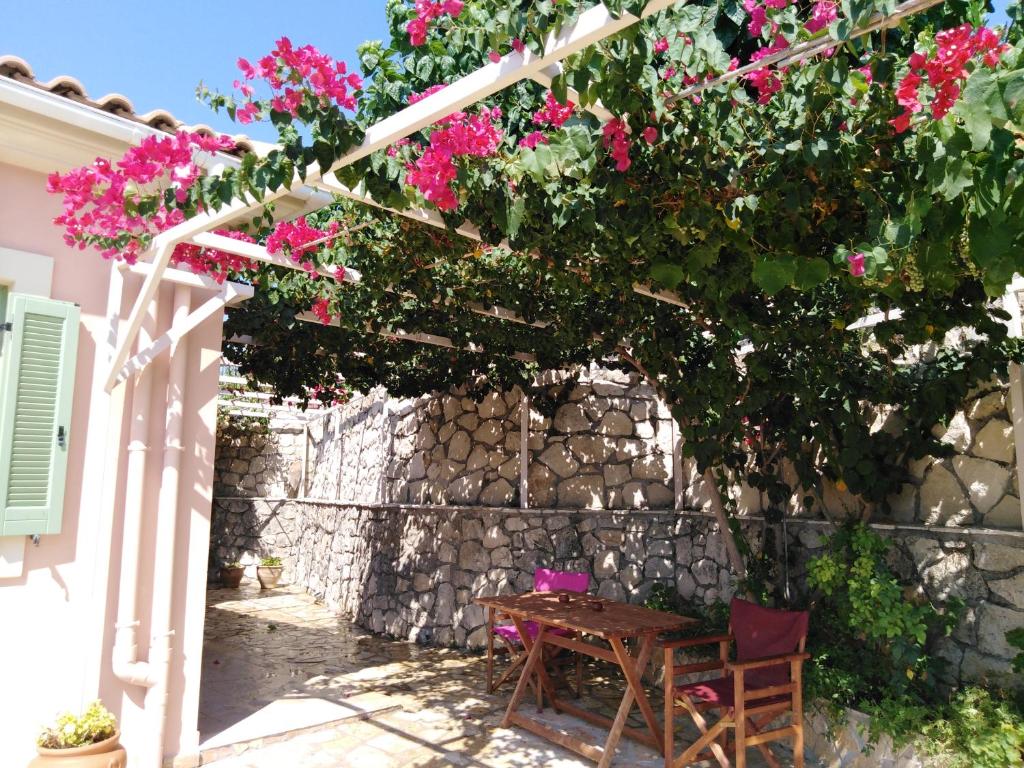 A garden outside Villa REGINA