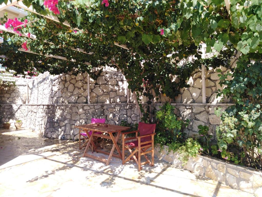 A garden outside Villa REGINA