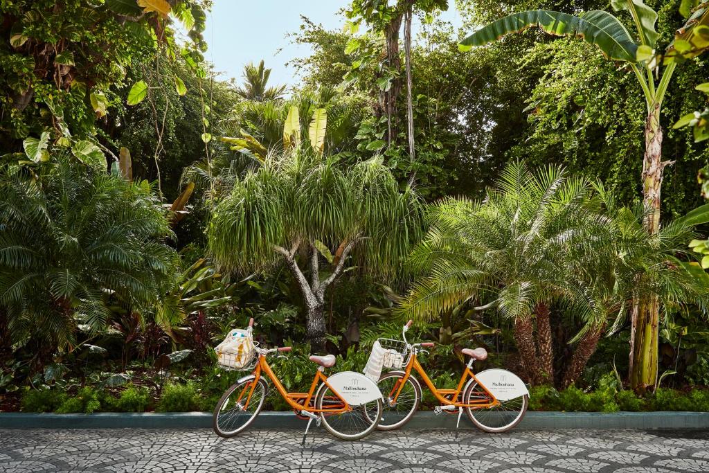 Zahrada ubytování Malliouhana Resort Anguilla