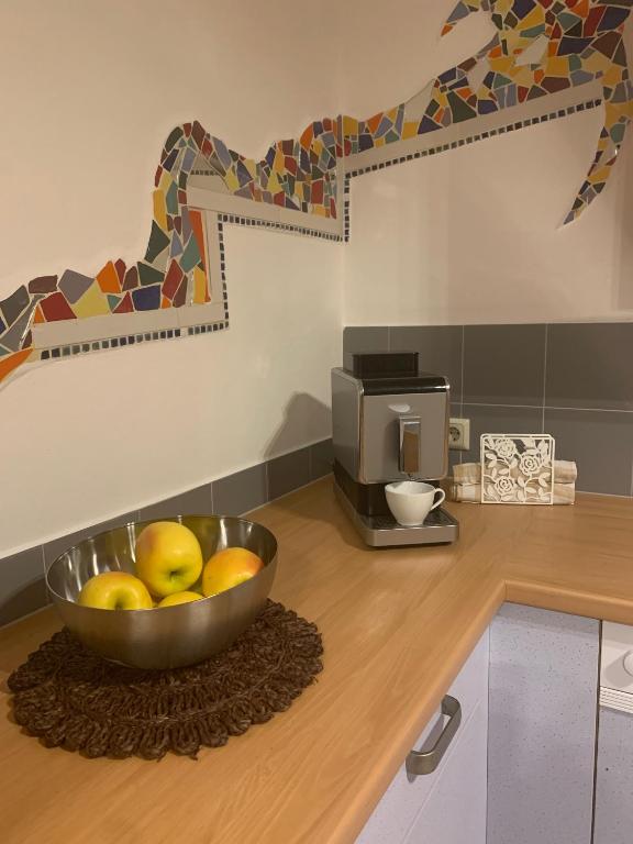 Kuchyň nebo kuchyňský kout v ubytování Schilcherland-Apartment