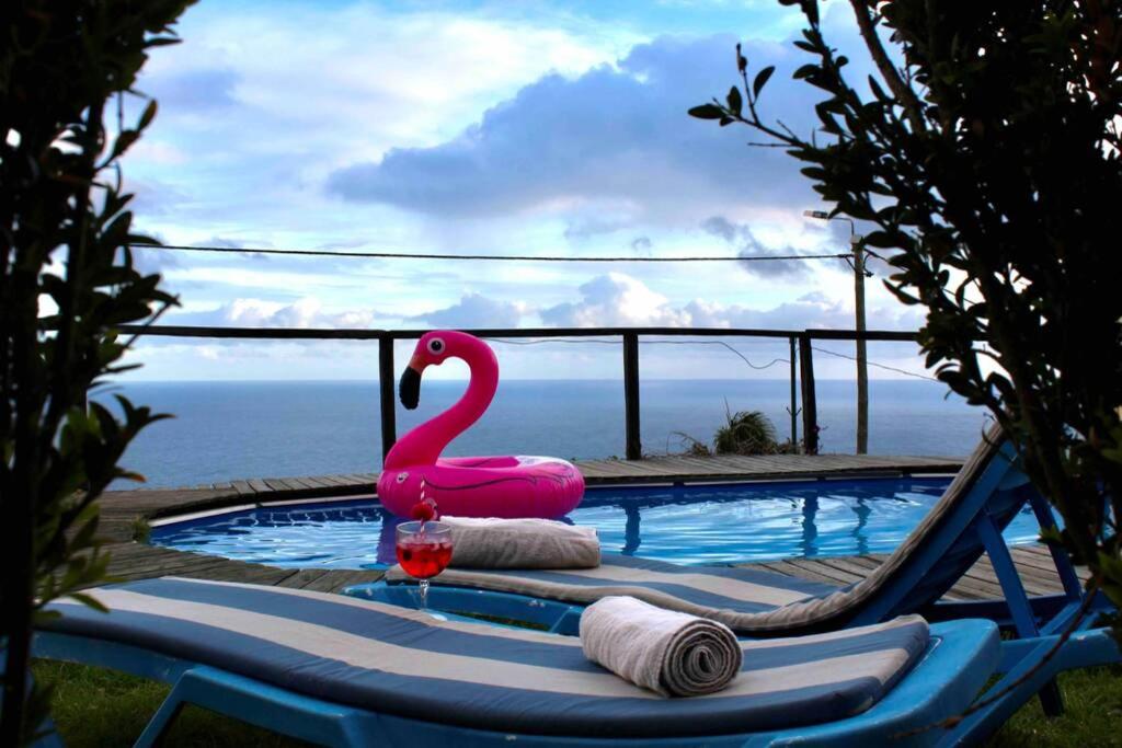 un cisne rosa sentado en una toalla junto a una piscina en Room Seaview, en Câmara de Lobos