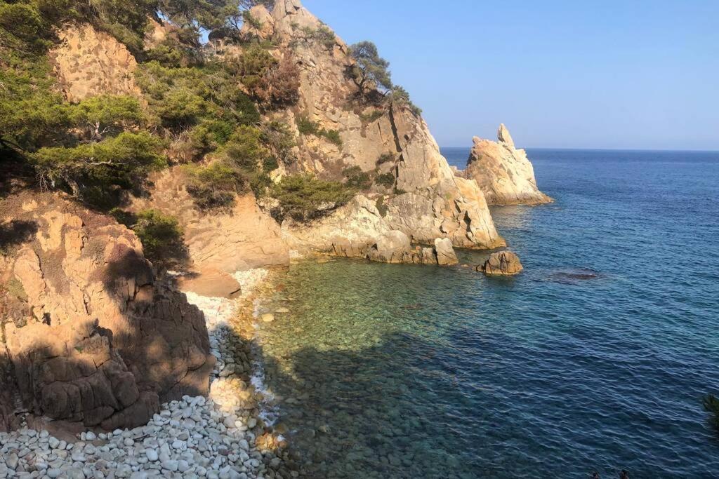 Apartamento a 5 min de la playa, en pleno centro., Blanes ...