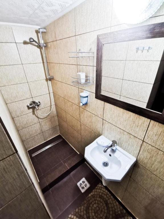 Shelby Accommodation -Adult Only- - Standard Studio