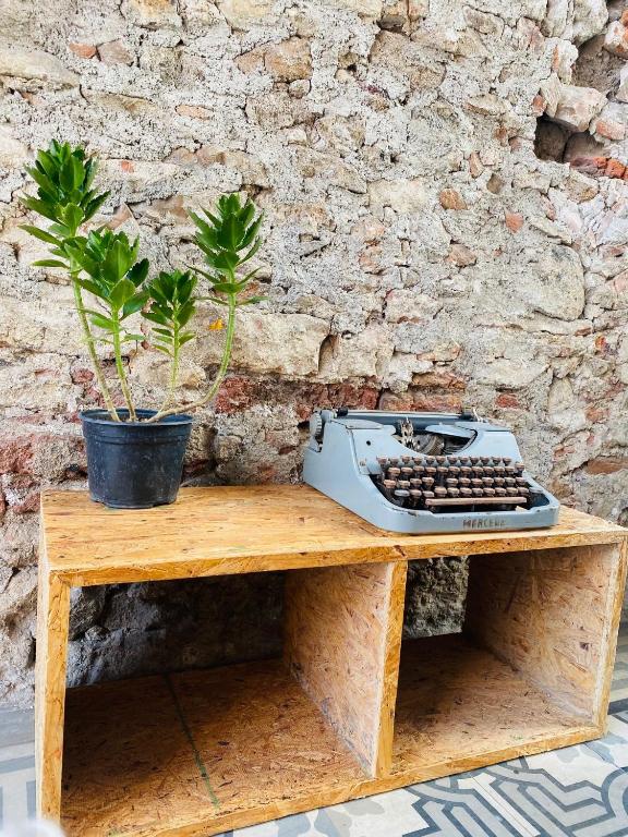 Fotografie z fotogalerie ubytování Kuku Ruku Hotel v destinaci Querétaro