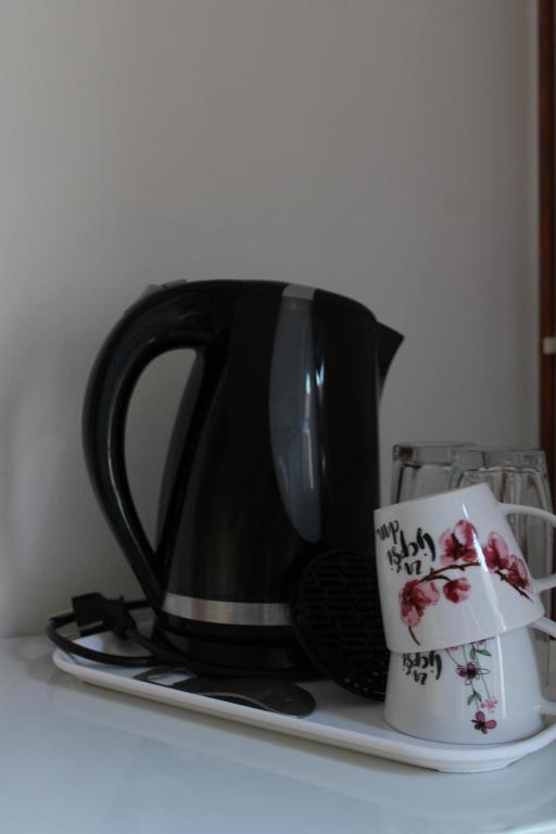 Příslušenství pro přípravu čaje a kávy v ubytování Studio apartman Hinko