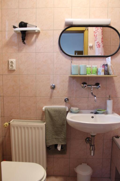 Koupelna v ubytování Studio apartman Hinko