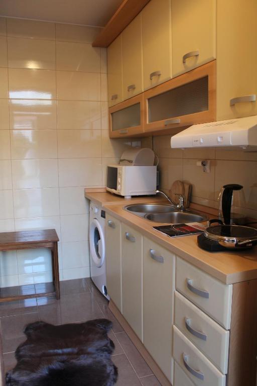 Kuchyň nebo kuchyňský kout v ubytování Studio apartman Hinko