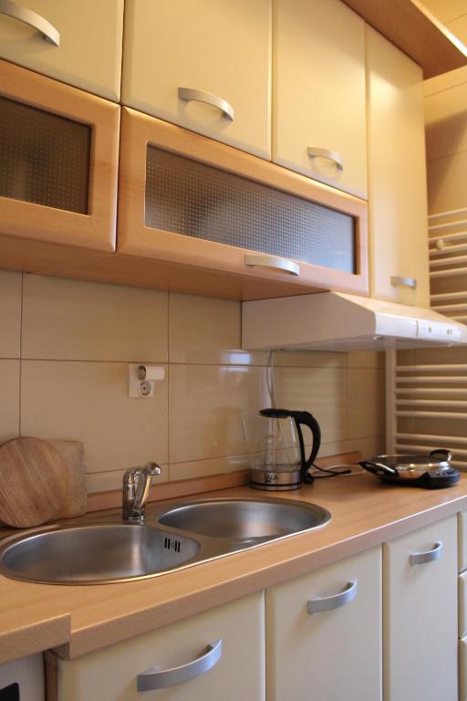 Kuchyň nebo kuchyňský kout v ubytování Studio apartman Hinko