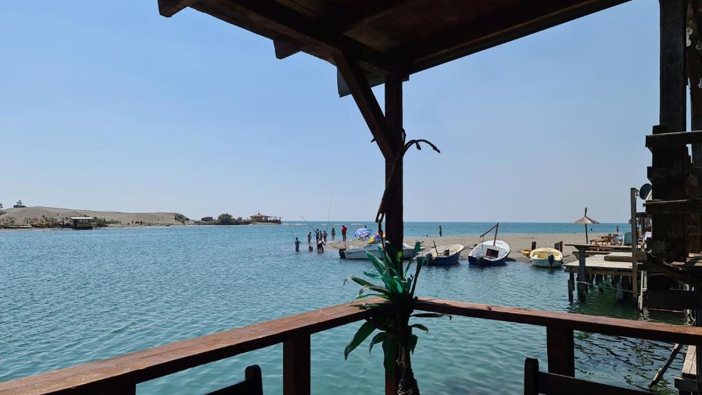 Apartment Luna, Ulcinj (updated prices 2024)