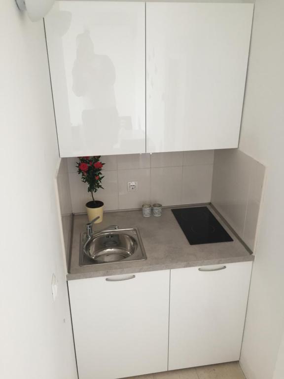 Kuchyňa alebo kuchynka v ubytovaní Apartments Leptiric