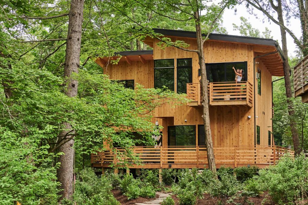 une cabane dans les arbres avec deux chats assis sur le balcon dans l'établissement Woodstock Way Hotel, à Woodstock