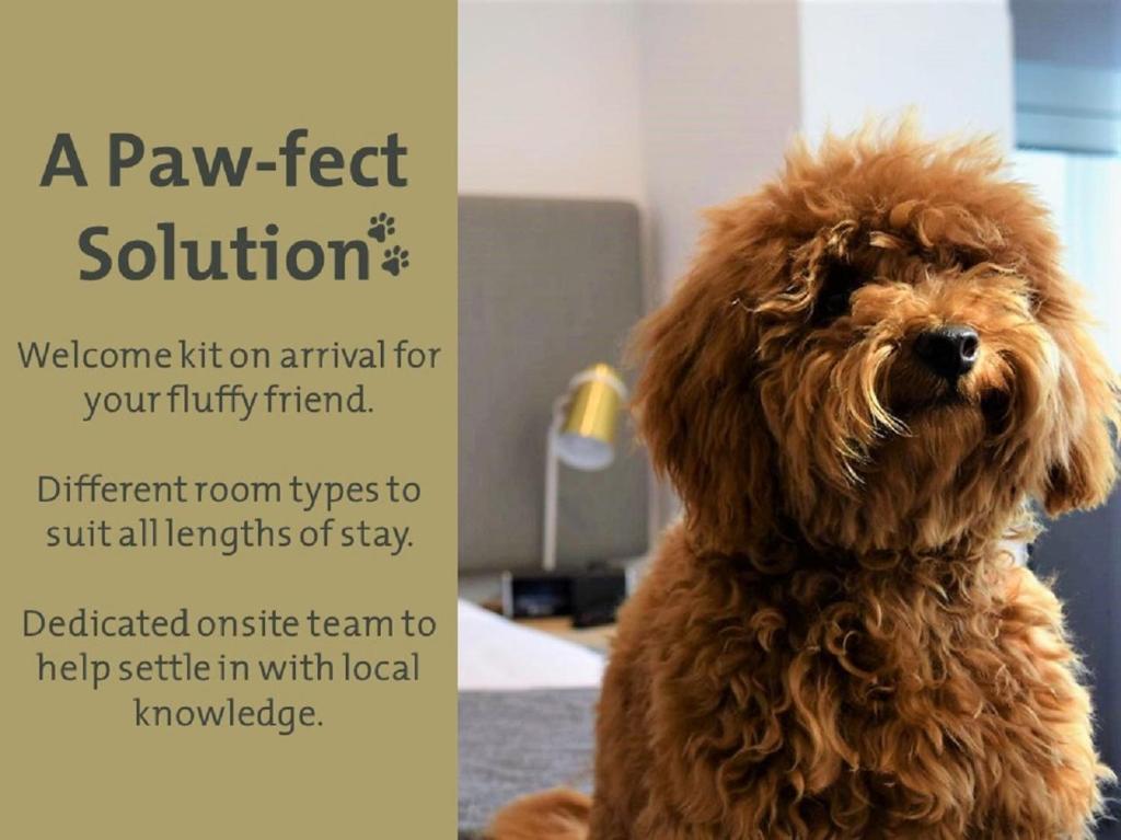 Quest North Sydney - Resim 27