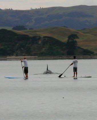 The Silos Apartments - Resim 6