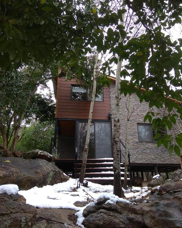 Torito's House 1