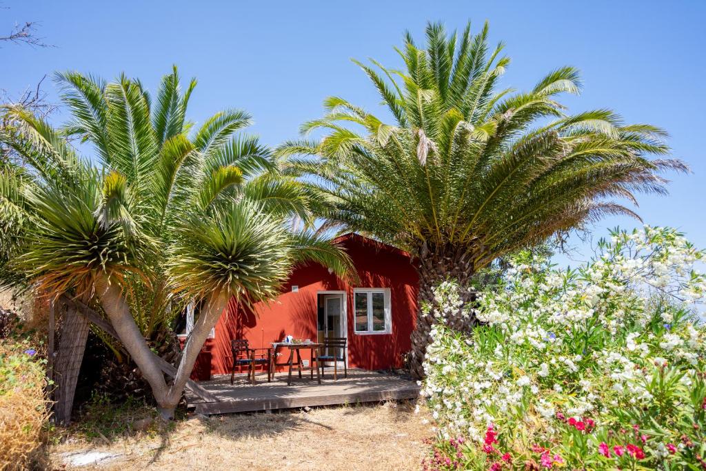 una casa roja con palmeras delante en Casa Marena, en Puntagorda