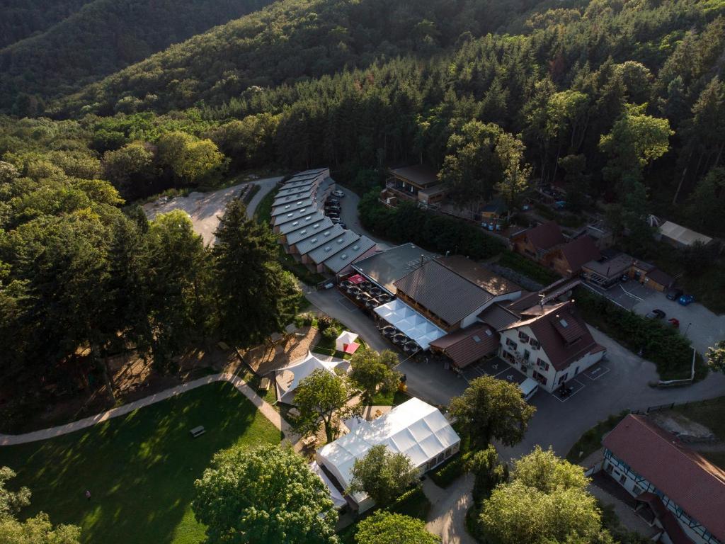 an aerial view of a house with a train at Domaine du Hirtz, Restaurant & Spa in Wattwiller