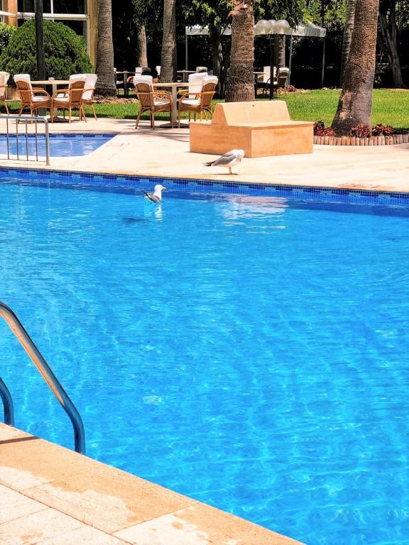 Bazén v ubytování El Oumnia Puerto & Spa nebo v jeho okolí