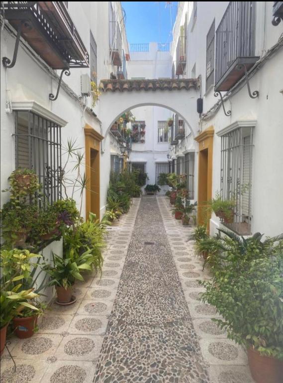 Aptos. Paniagua - 19