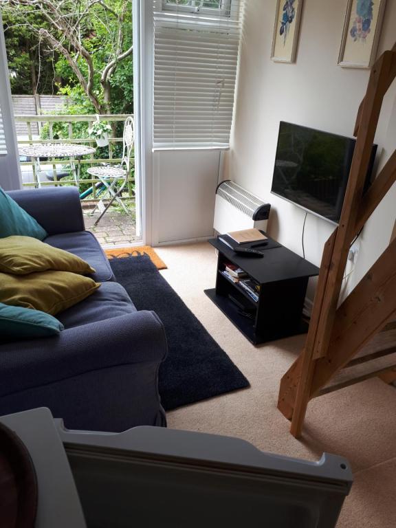 a living room with a couch and a television at Perfect location studio in Lewes