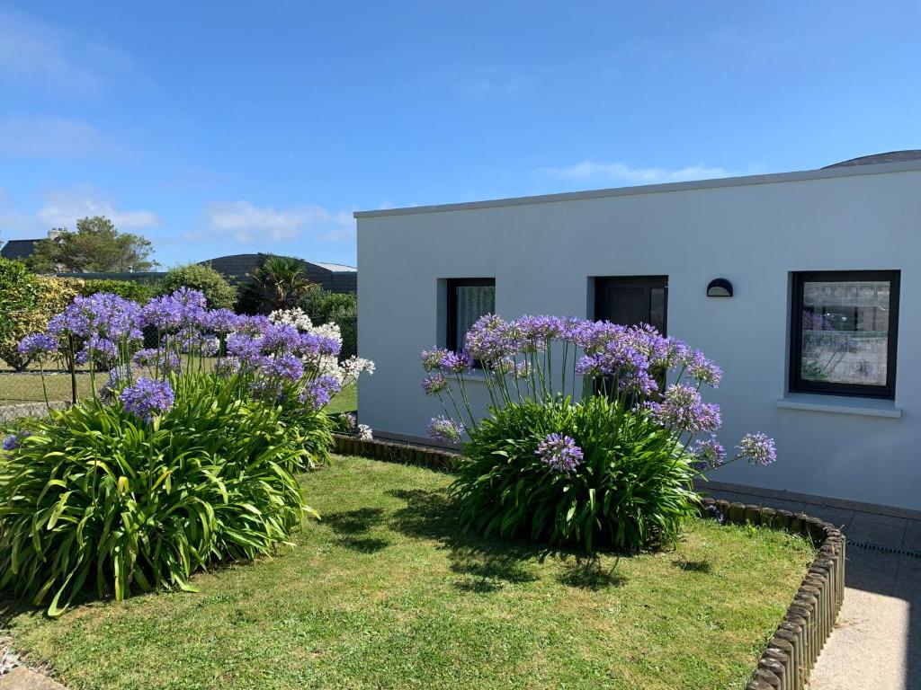 une maison avec des fleurs violettes dans une cour dans l'établissement Pied à terre pour des vacances au bord de la mer, au Conquet